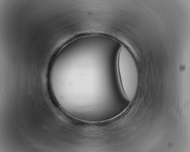 X0000103250677200808281057