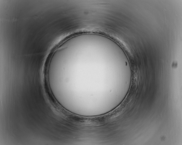 X0000103250678200808281057