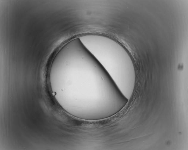 X0000103250679200808281057