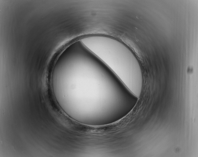 X0000103250680200808281057