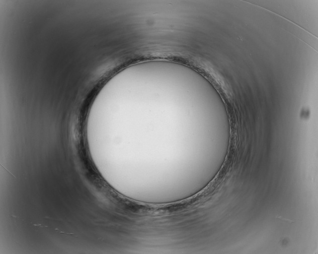 X0000103250683200808281057