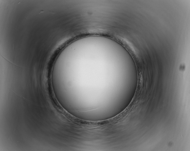 X0000103250684200808281057