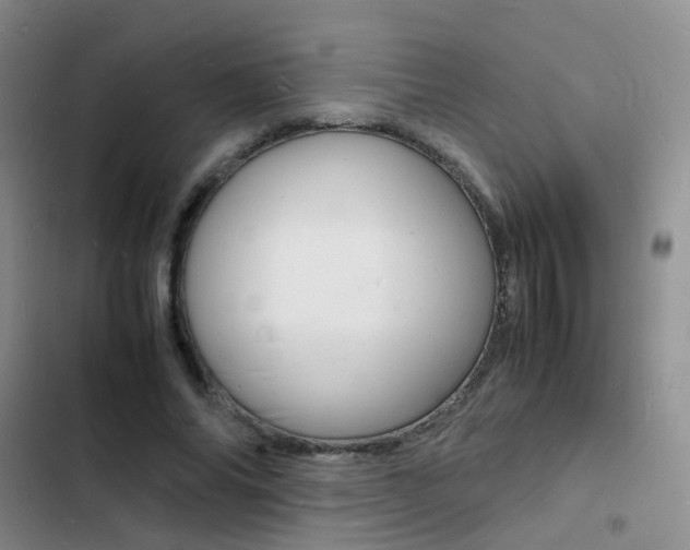 X0000103250686200808281057