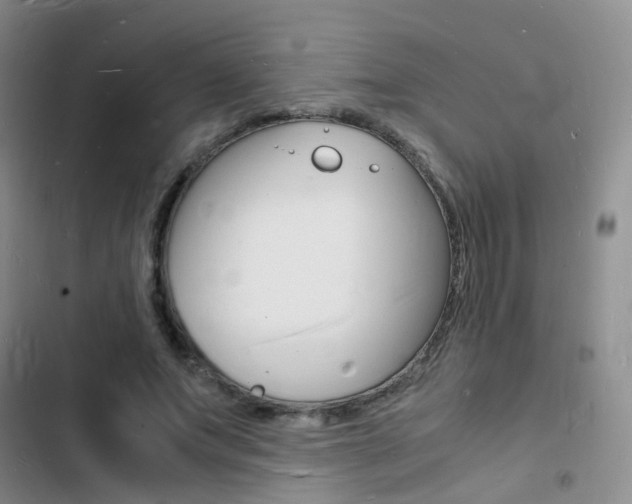X0000103250687200808281057