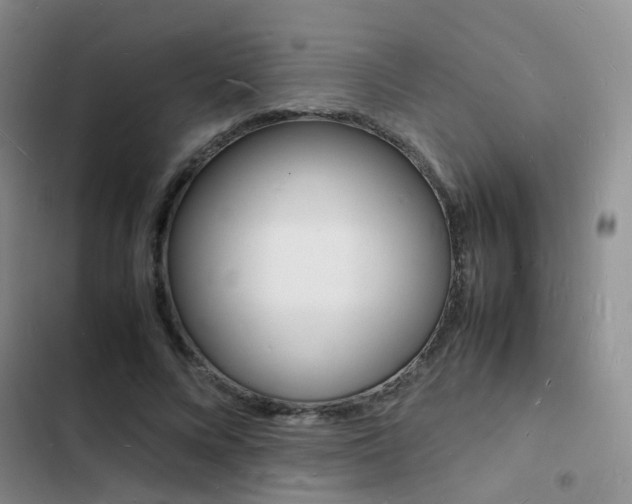 X0000103250688200808281057