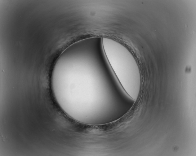 X0000103250689200808281057