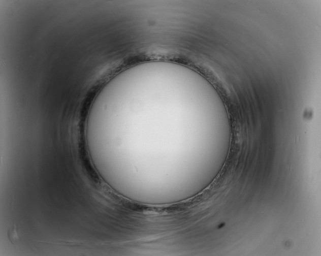 X0000103250690200808281057
