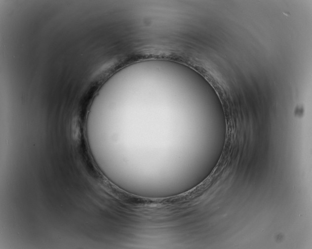 X0000103250692200808281057