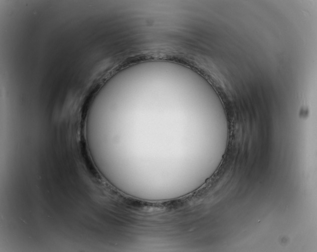 X0000103250694200808281057