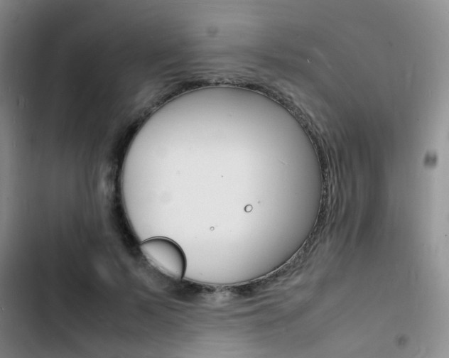 X0000103250695200808281057