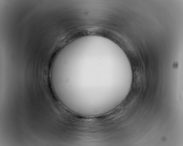 X0000103250698200808281057