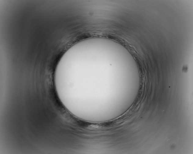 X0000103250699200808281057