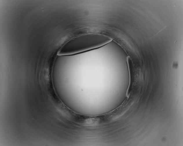X0000103250700200808281057