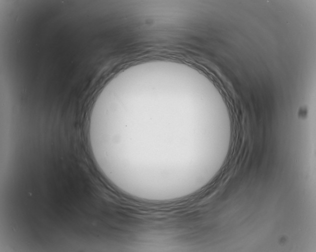 X0000103250701200808281057