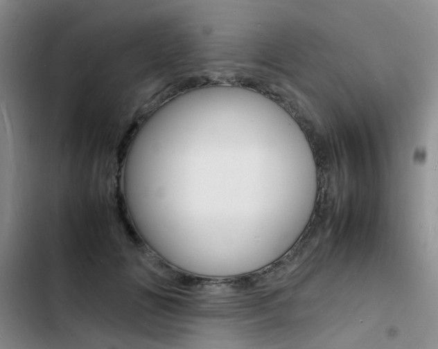 X0000103250702200808281057