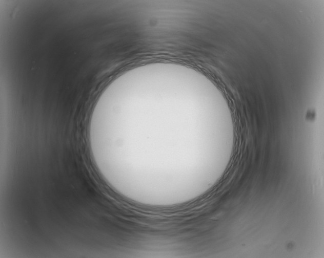 X0000103250705200808281056