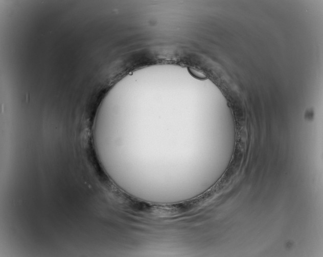 X0000103250707200808281056