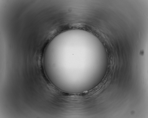 X0000103250708200808281056