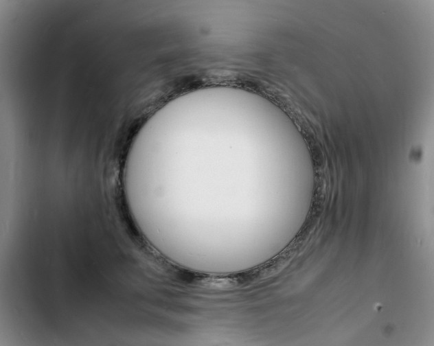 X0000103250711200808281056