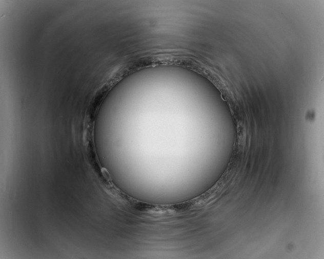 X0000103250712200808281056