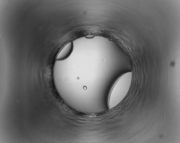 X0000103250715200808281056