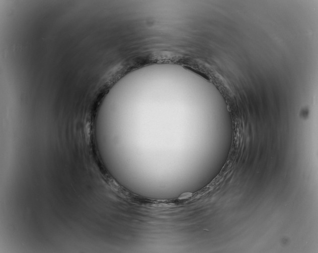 X0000103250716200808281056