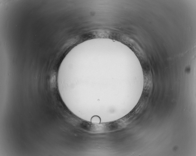 X0000103250717200808281056