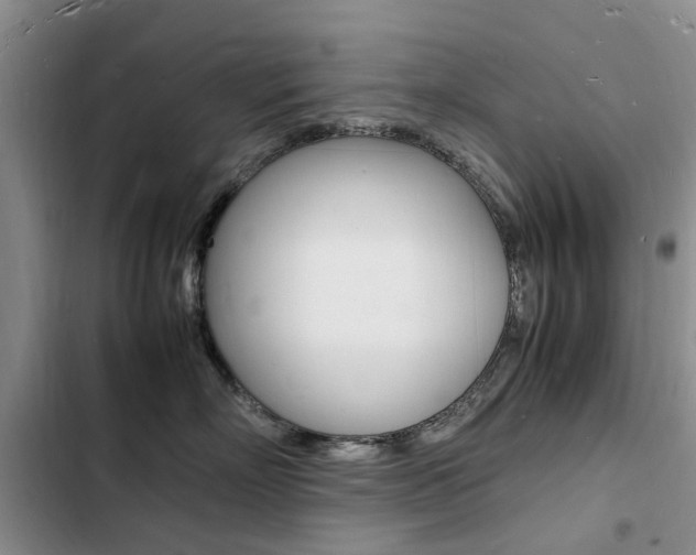 X0000103250718200808281056