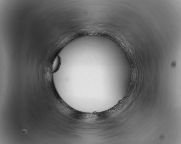 X0000103250719200808281056