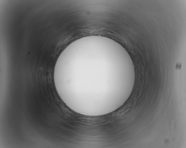 X0000103250720200808281056