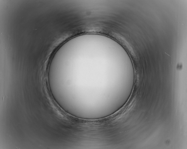 X0000103250721200808281055