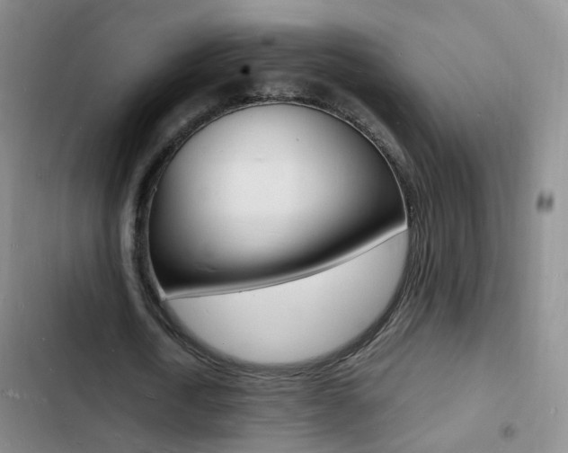 X0000103250722200808281055