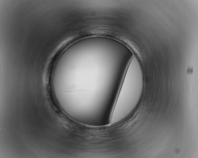 X0000103250723200808281055