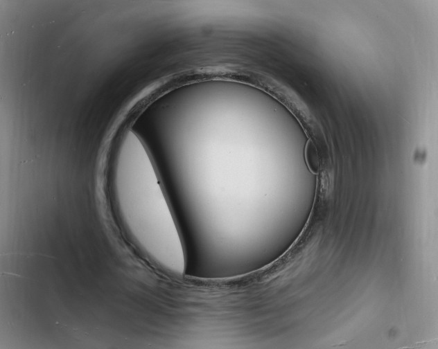 X0000103250724200808281055