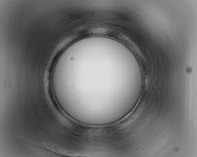X0000103250725200808281055