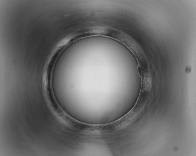 X0000103250726200808281055