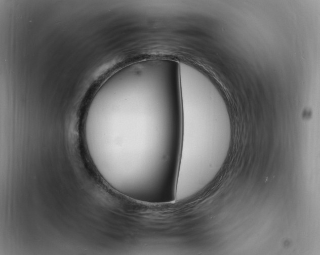 X0000103250727200808281056