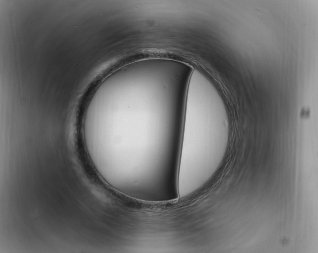 X0000103250728200808281056