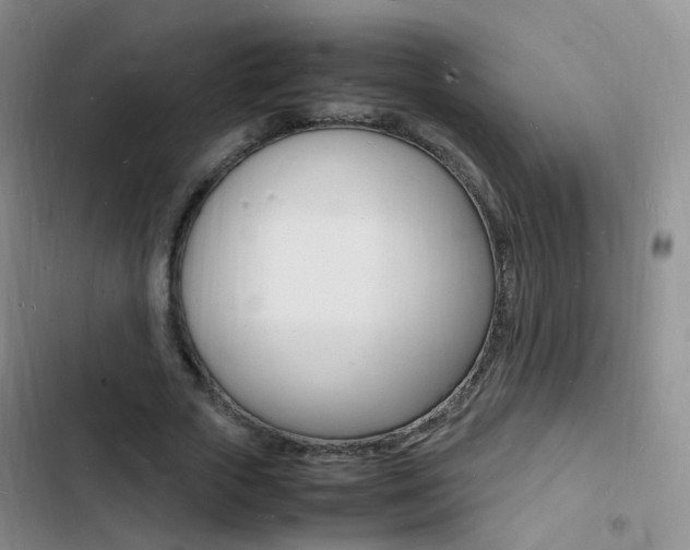 X0000103250729200808281056