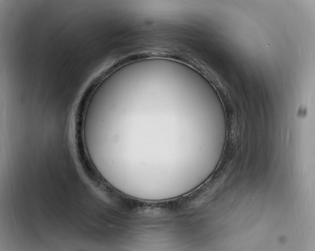 X0000103250730200808281056