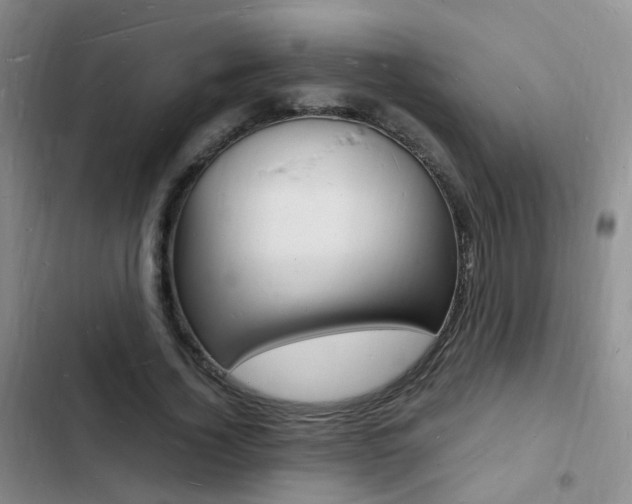X0000103250732200808281056