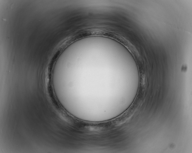 X0000103250733200808281056