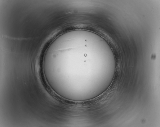 X0000103250734200808281056