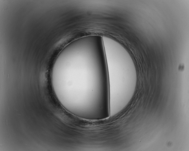 X0000103250735200808281056