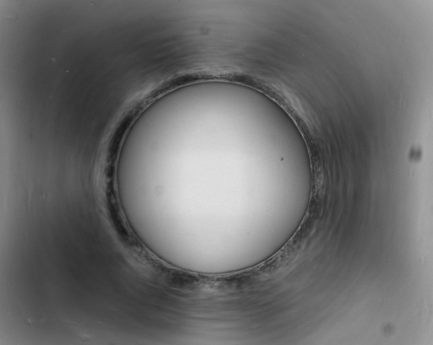 X0000103250736200808281056