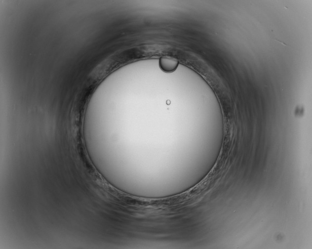 X0000103250737200808281056