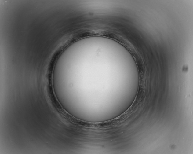 X0000103250738200808281056
