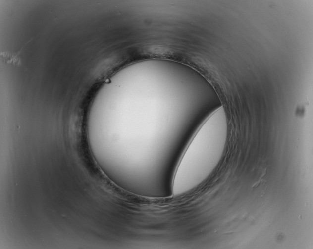 X0000103250739200808281056