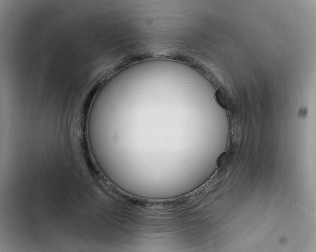 X0000103250740200808281056