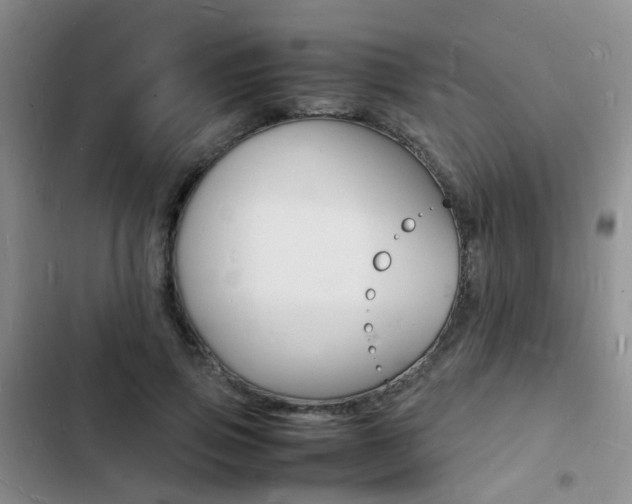 X0000103250741200808281056